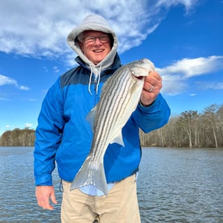 Striped Bass Fishing in Manteo, North Carolina