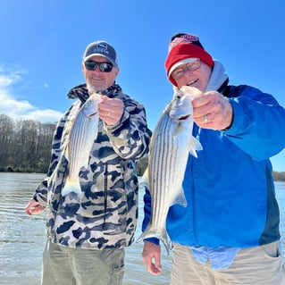 Striped Bass Fishing in Manteo, North Carolina