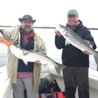 Striped Bass Fishing in Bourne, Massachusetts