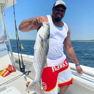 Striped Bass Fishing in Bourne, Massachusetts