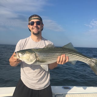 Striped Bass Fishing in Bourne, Massachusetts