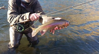 Crooked River Fly Fishing