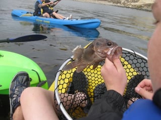 Pismo Beach Kayak Fishing Special