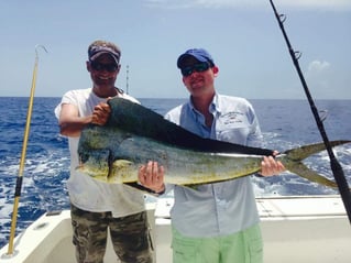 Mahi Mahi Fishing in Key West, Florida