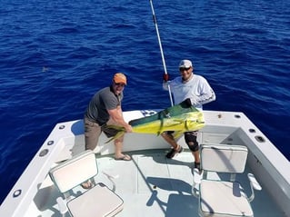 Mahi Mahi Fishing in Key West, Florida