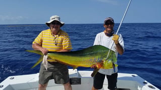 Mahi Mahi Fishing in Key West, Florida