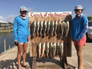 Black Drum, Redfish Fishing in Rockport, Texas