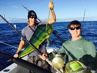 Mahi Mahi Fishing in Lahaina, Hawaii