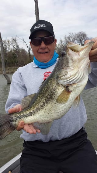 Trophy Chasing on Lake Fork