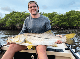 Jacksonville Reds on the Fly