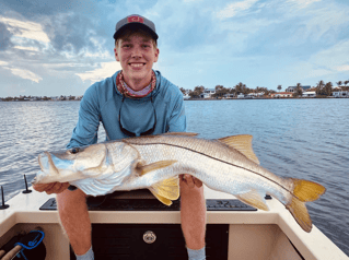 Jacksonville Reds on the Fly