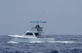 Kona Coast Big Game Fishing