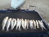 Sabine Lake Charter