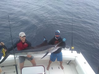 Cabo Offshore Magic