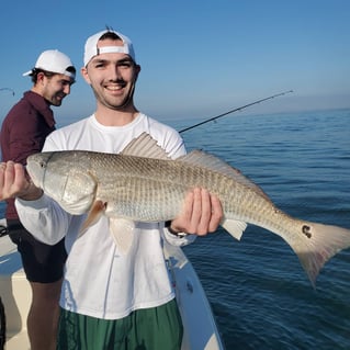 Charleston Low Country Adventure