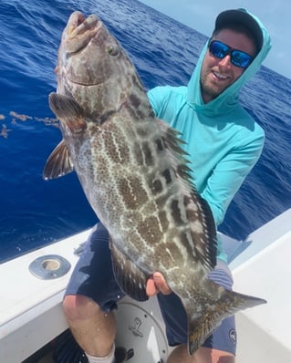 Offshore Bottomfishing and Trolling