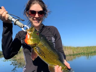 Premier Everglades Fishing