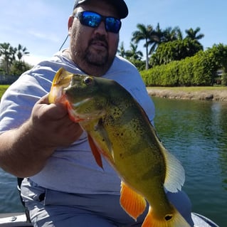 Premier Everglades Fishing