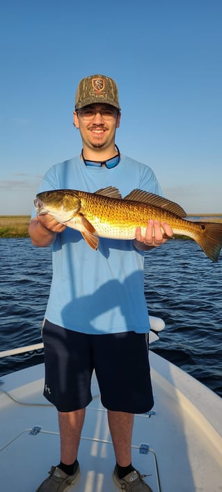 Redfish Fishing in Yscloskey, Louisiana