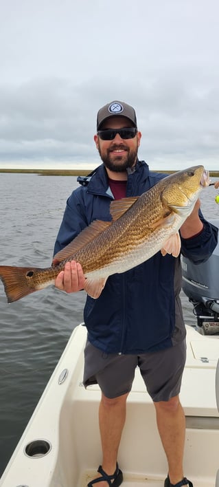 Redfish Fishing in Yscloskey, Louisiana