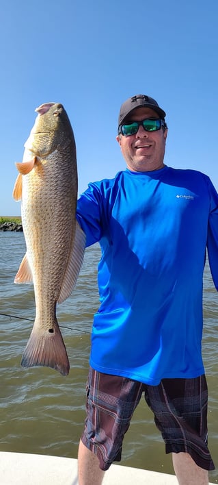 Redfish Fishing in Yscloskey, Louisiana