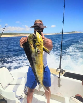 Mahi Mahi Fishing in Cabo San Lucas, Mexico