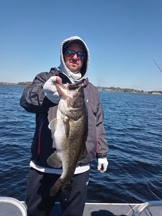 Lake Toho Largemouth Bass Run