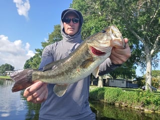 Lake Toho Largemouth Bass Run