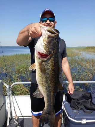 Lake Toho Largemouth Bass Run