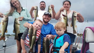 Lake Toho Largemouth Bass Run