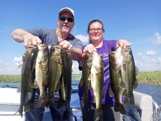 Lake Toho Largemouth Bass Run