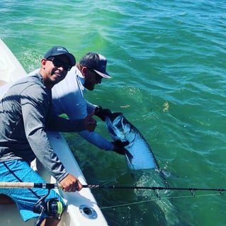 Key West Mangroves Fishing