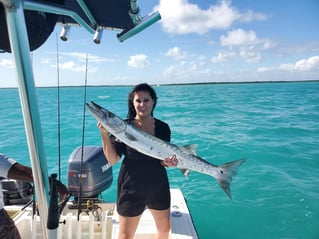 Half Day Biscayne Bay Trip