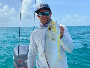 Half Day Biscayne Bay Trip