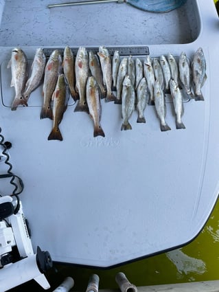 Redfish, Speckled Trout Fishing in South Padre Island, Texas