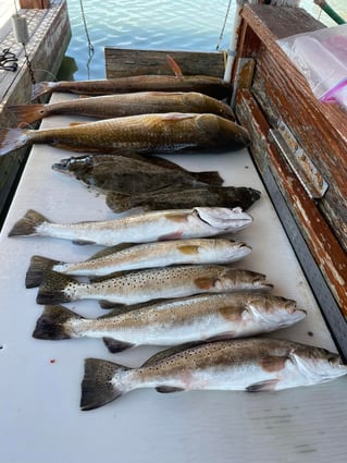 Flounder, Redfish, Speckled Trout Fishing in South Padre Island, Texas