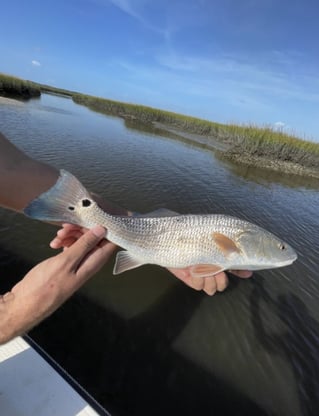 Inshore Rod Bending Action