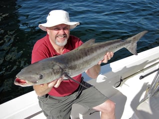 Tampa Bay Inshore Adventures