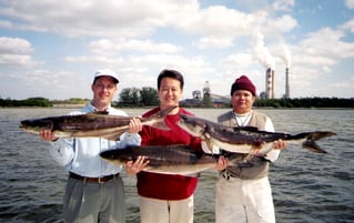 Tampa Bay Inshore Adventures