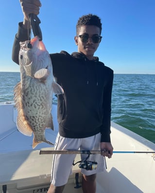 Gag Grouper Fishing in St. Petersburg, Florida