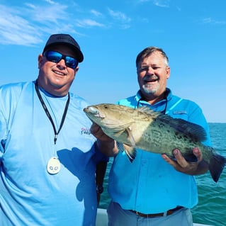 Gag Grouper Fishing in St. Petersburg, Florida