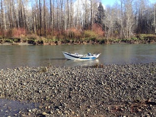 Hoh River on the Fly