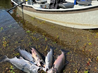 Hoh River on the Fly