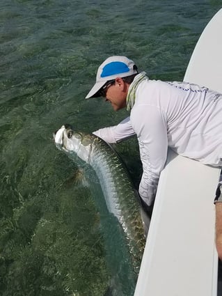 Tarpon On the Fly