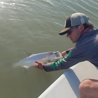 Tarpon On the Fly