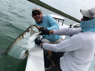 Tarpon On the Fly