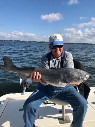 Big Ol' Flathead Catfish Catch