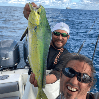 Mahi Mahi Fishing in Miami Beach, Florida