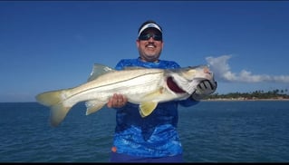 Backwater Tarpon, Snook, & Jacks