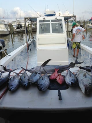 Venice Offshore Adventure